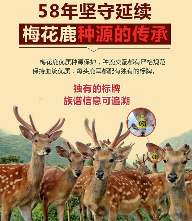 微信图片_20210401143405.png